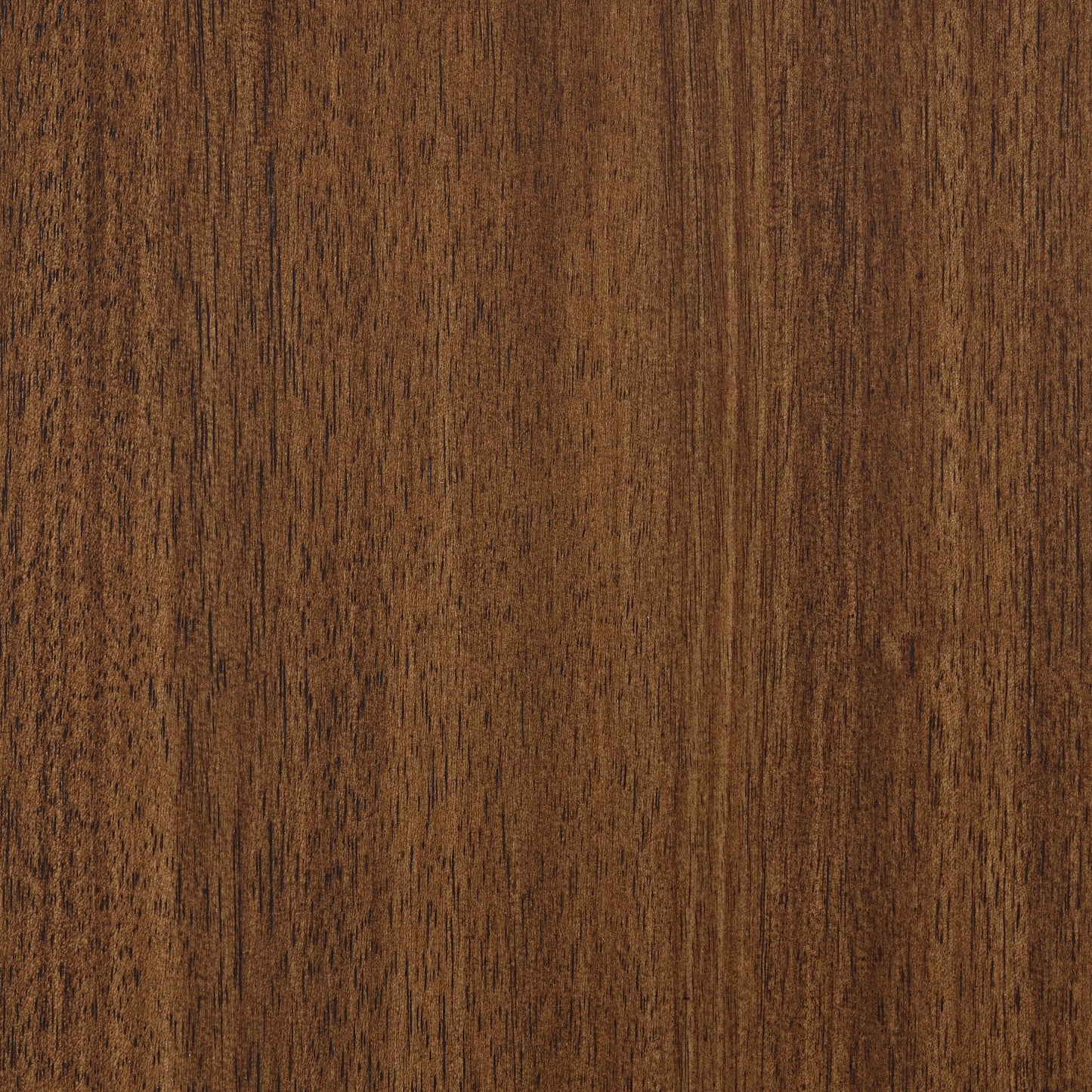 Lyncott Brown Dining Server