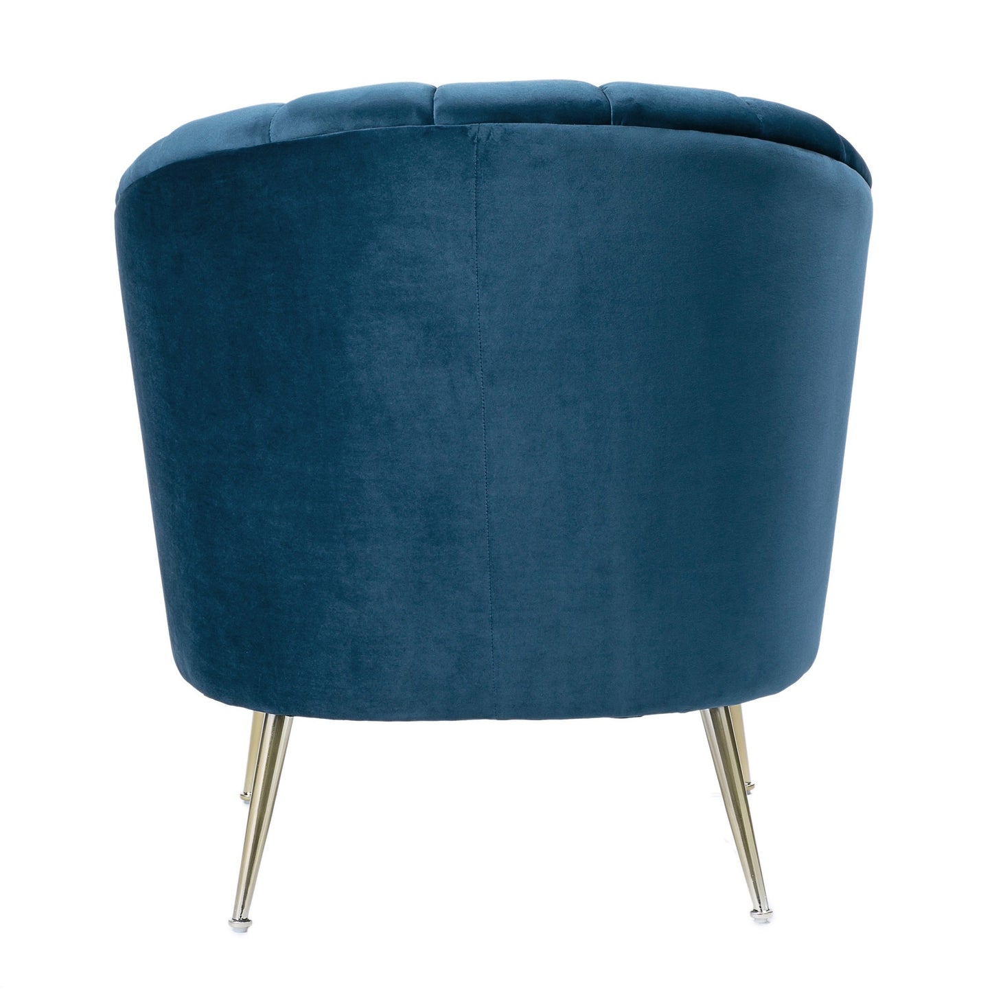 Rosemont Accent Chair in Blue and Gold (set of 2) - Ornate Home