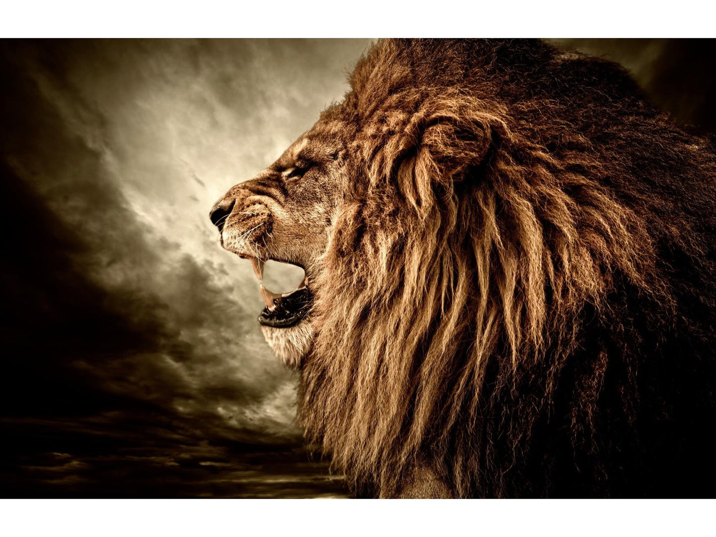 Roaring Lion Tempered Glass w / Foil Wall Art