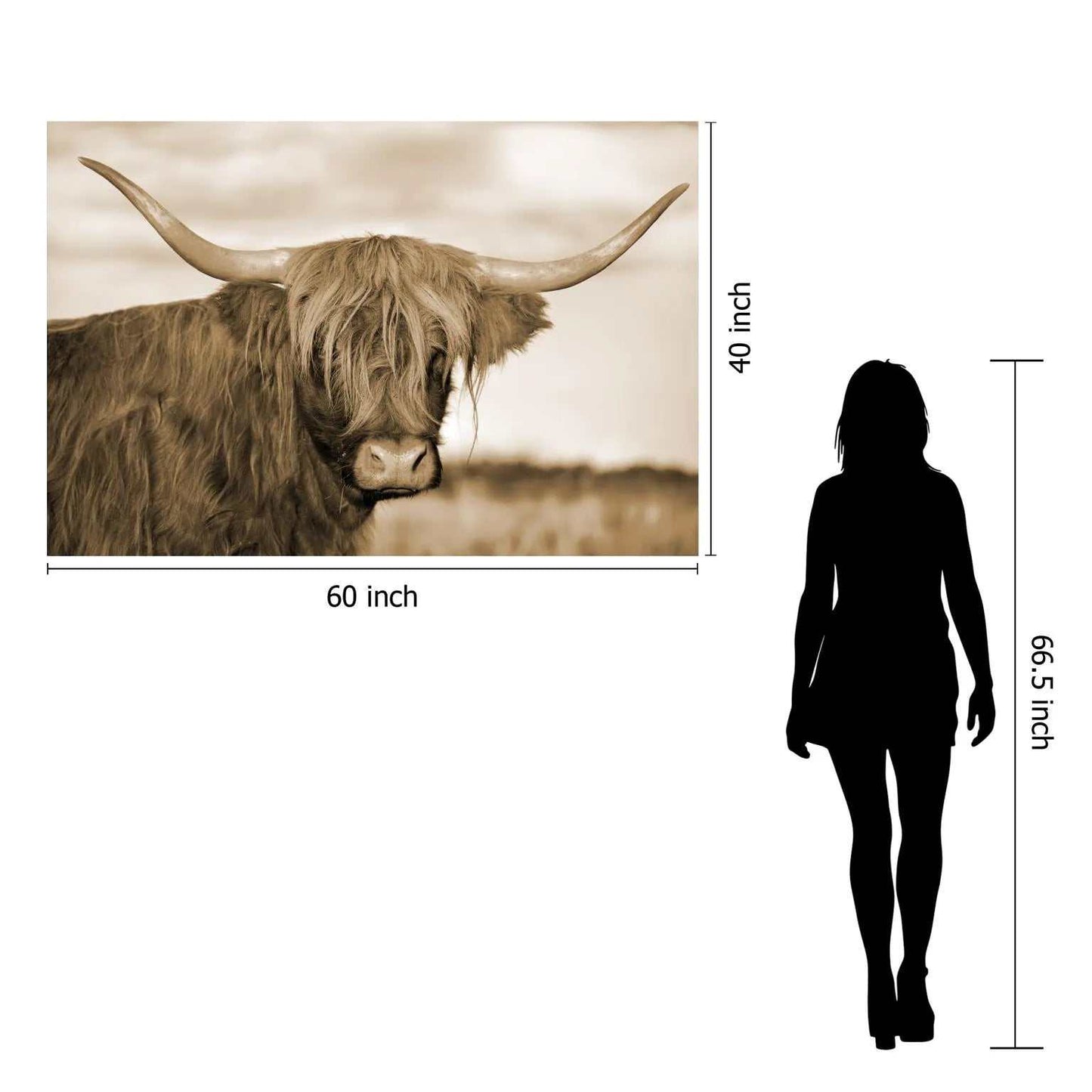 Highland Cow 1 Tempered Glass w / Foil - Ornate Home