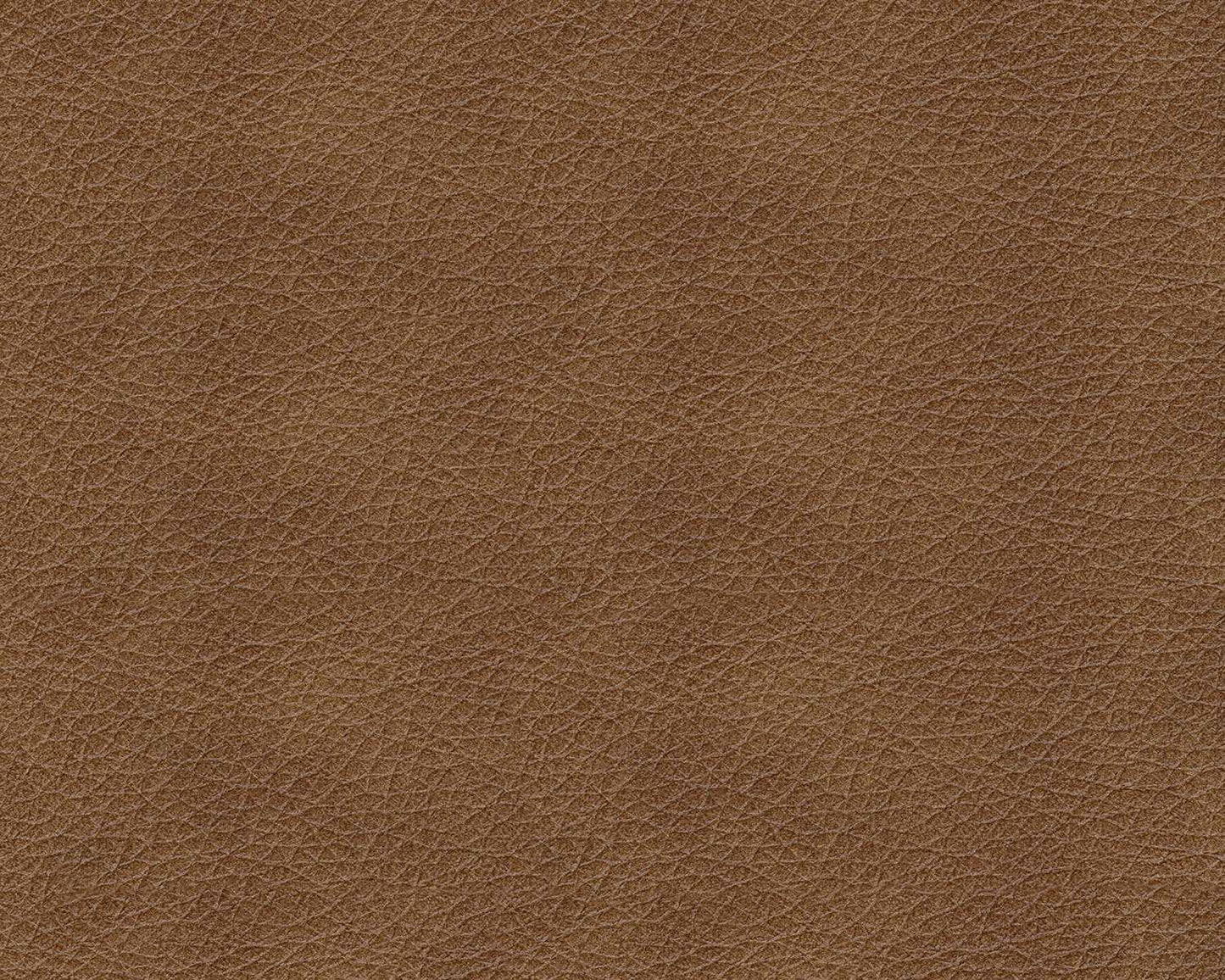 Trasimeno Caramel Power Recliner