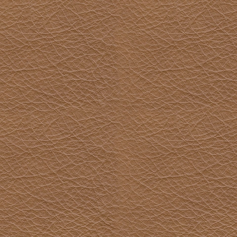 Tryanny Butterscotch Power Recliner