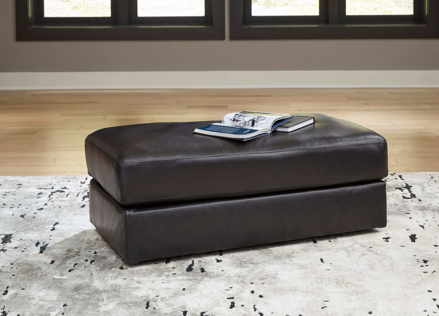 Amiata Onyx Leather Living Room Set / 2pc