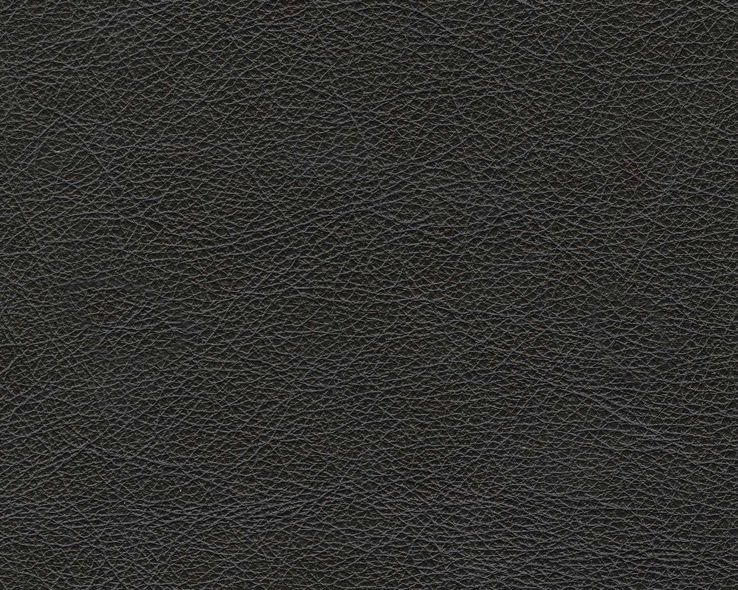 Amiata Onyx Leather Living Room Set / 2pc