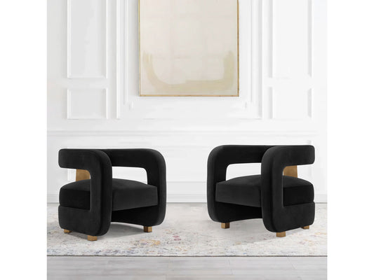 Amirah Accent Chair in Black (set of 2) - Ornate Home