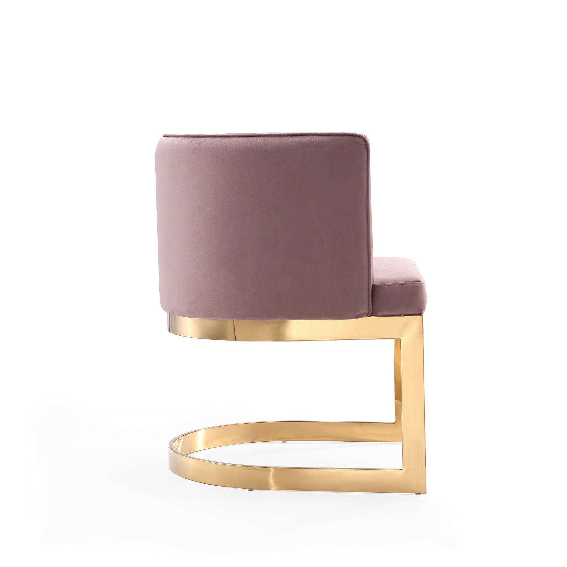 Aura Dining Chair in Blush and Polished Brass (set of 2) - Ornate Home