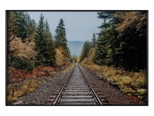 Autumn Tracks Brown/Green Wall Art - Ornate Home
