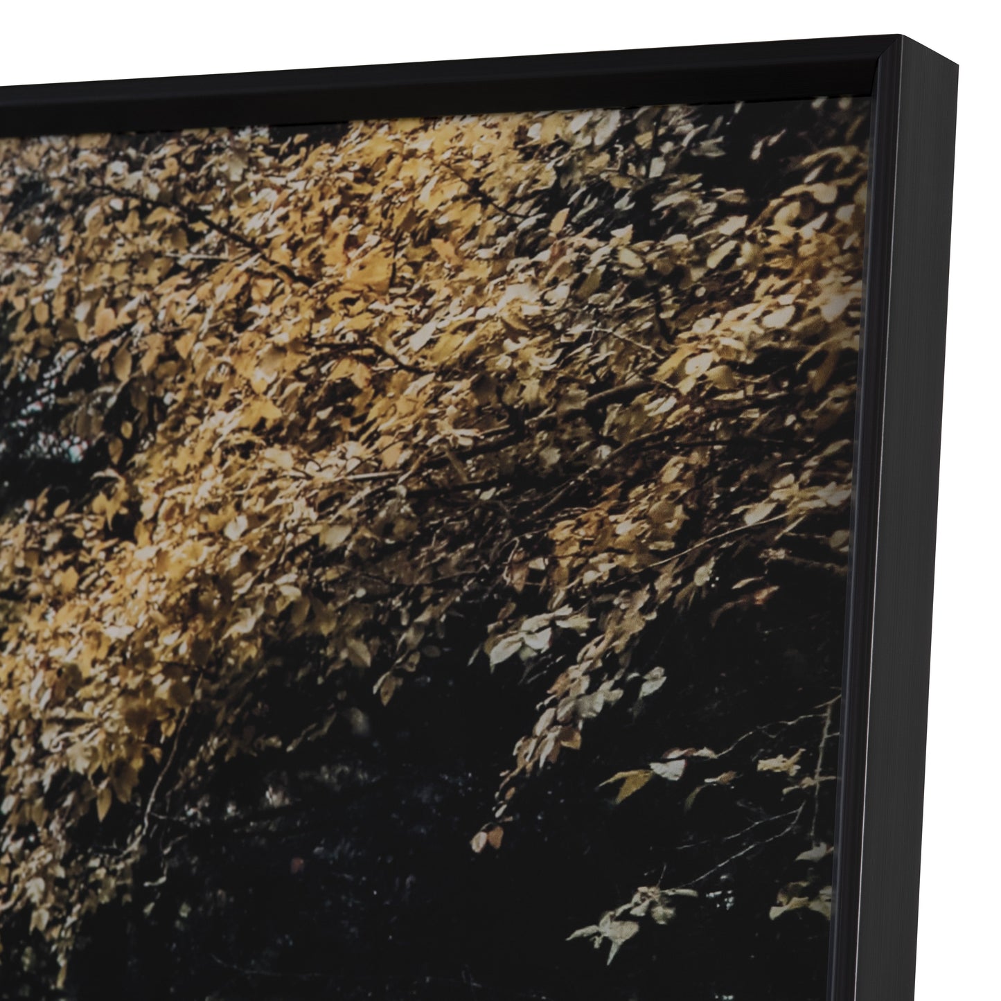 Autumn Tracks Brown/Green Wall Art - Ornate Home