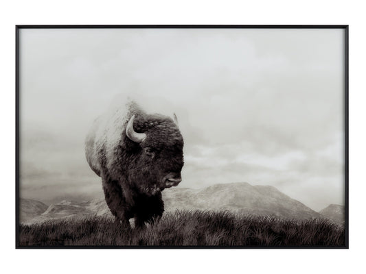 Bison Life Grey/White Print - Ornate Home