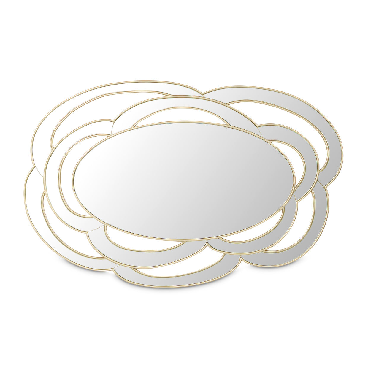 Camellia Field Antique Gold Wall Mirror - Ornate Home