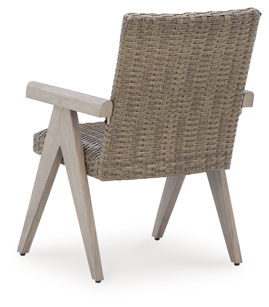 Carisbo Beige-Outdoor Arm Chair (Set of 2)- Viva Furn