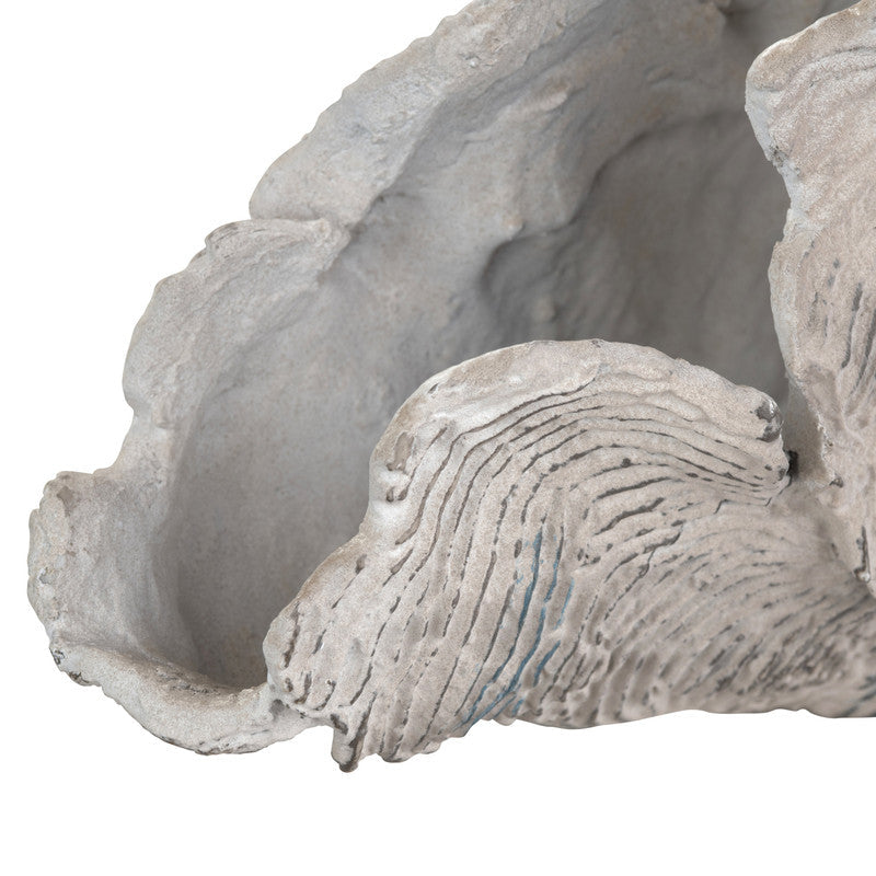 Deacon Medium Cream Coral Sculpture - Ornate Home