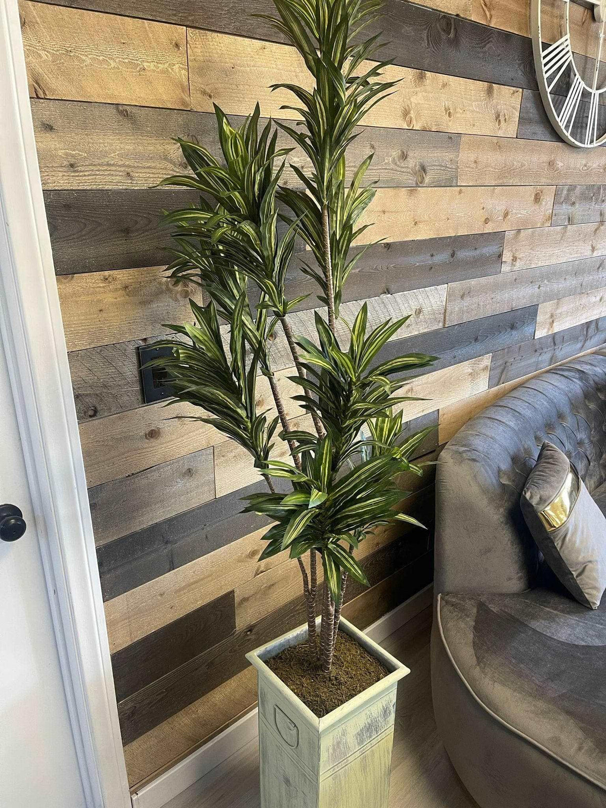 Deluxe Yucca in Metal / 6’ - Ornate Home