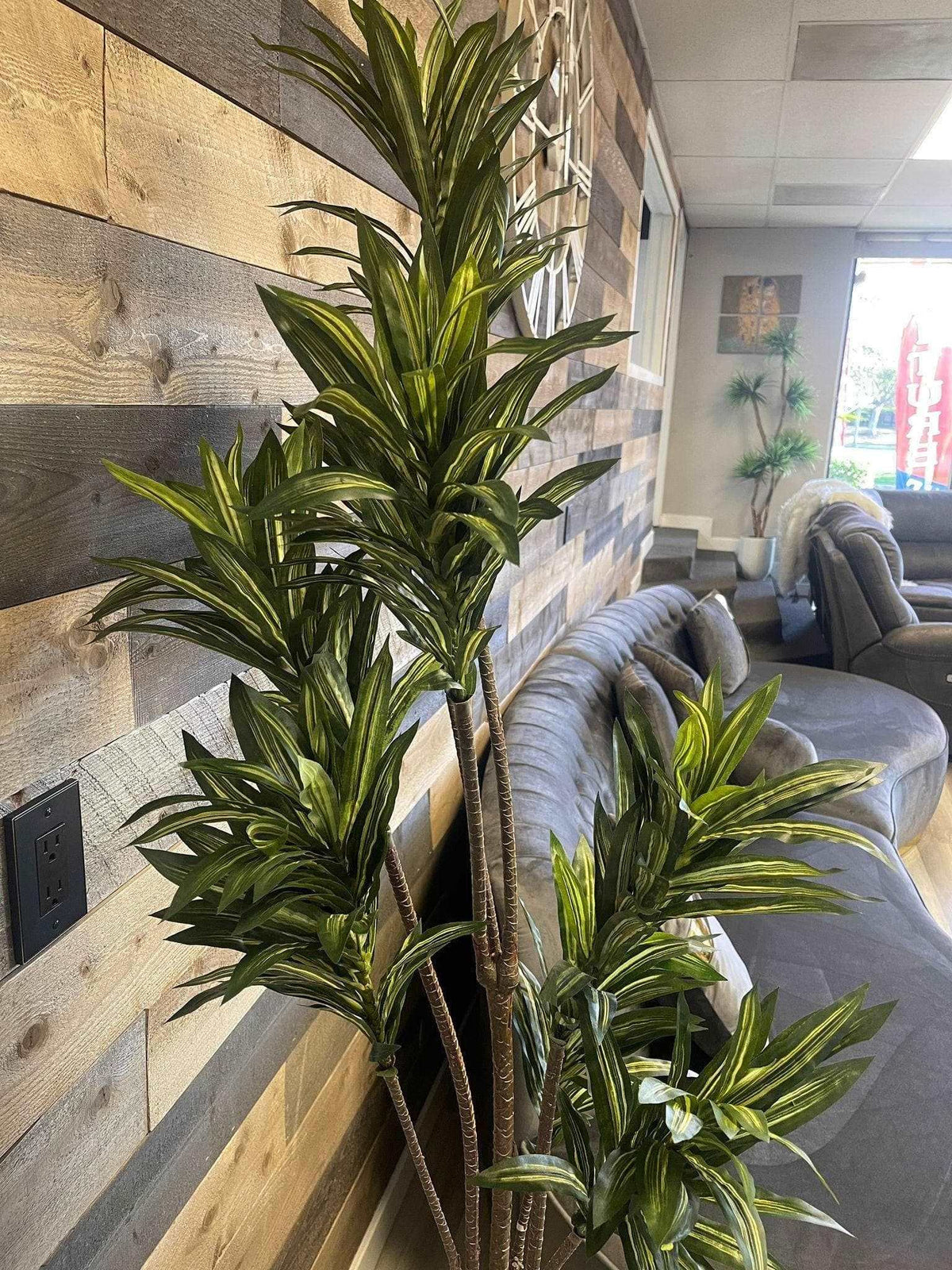 Deluxe Yucca in Metal / 6’ - Ornate Home