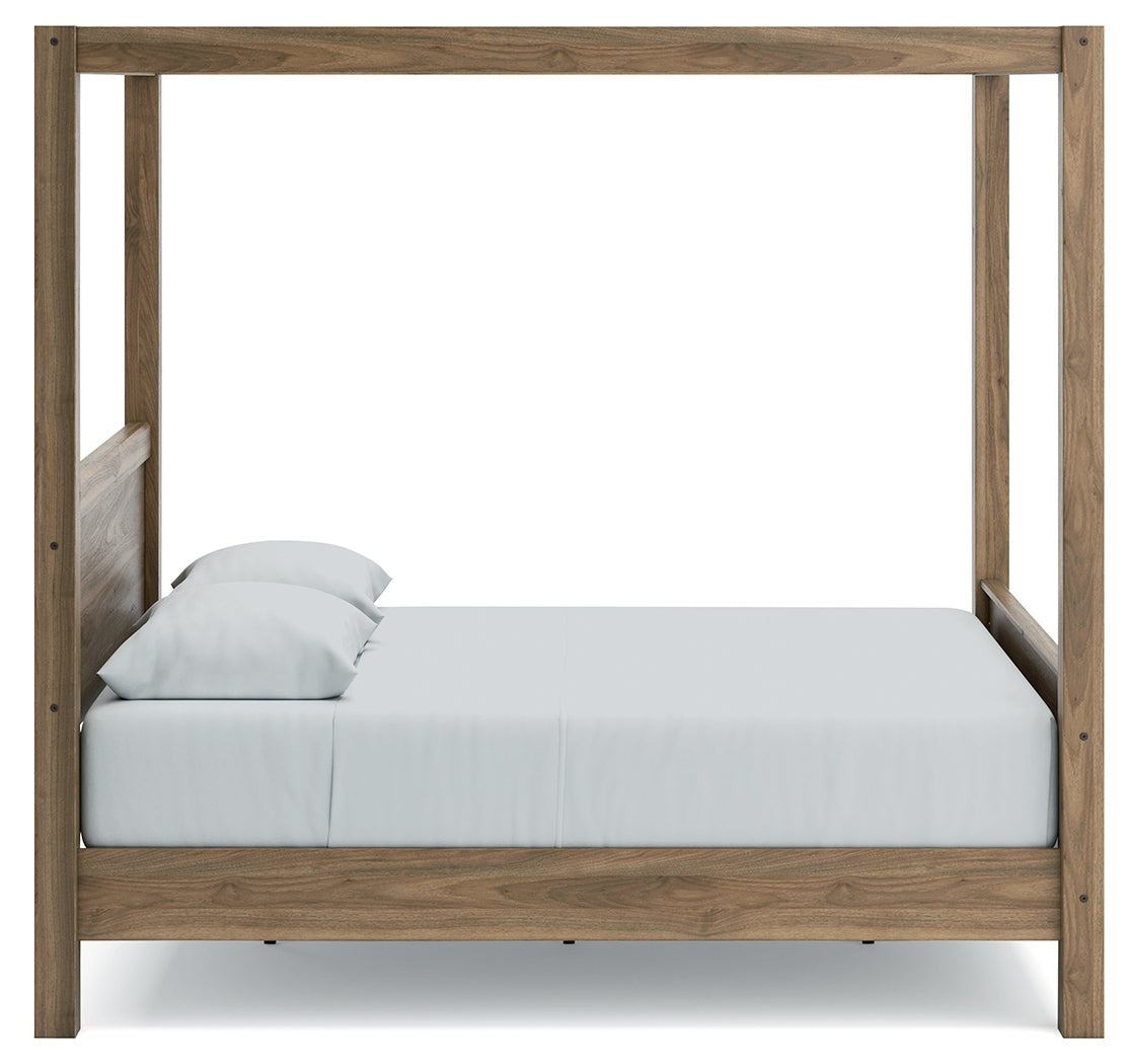 Aprilyn Honey Queen Canopy Bed