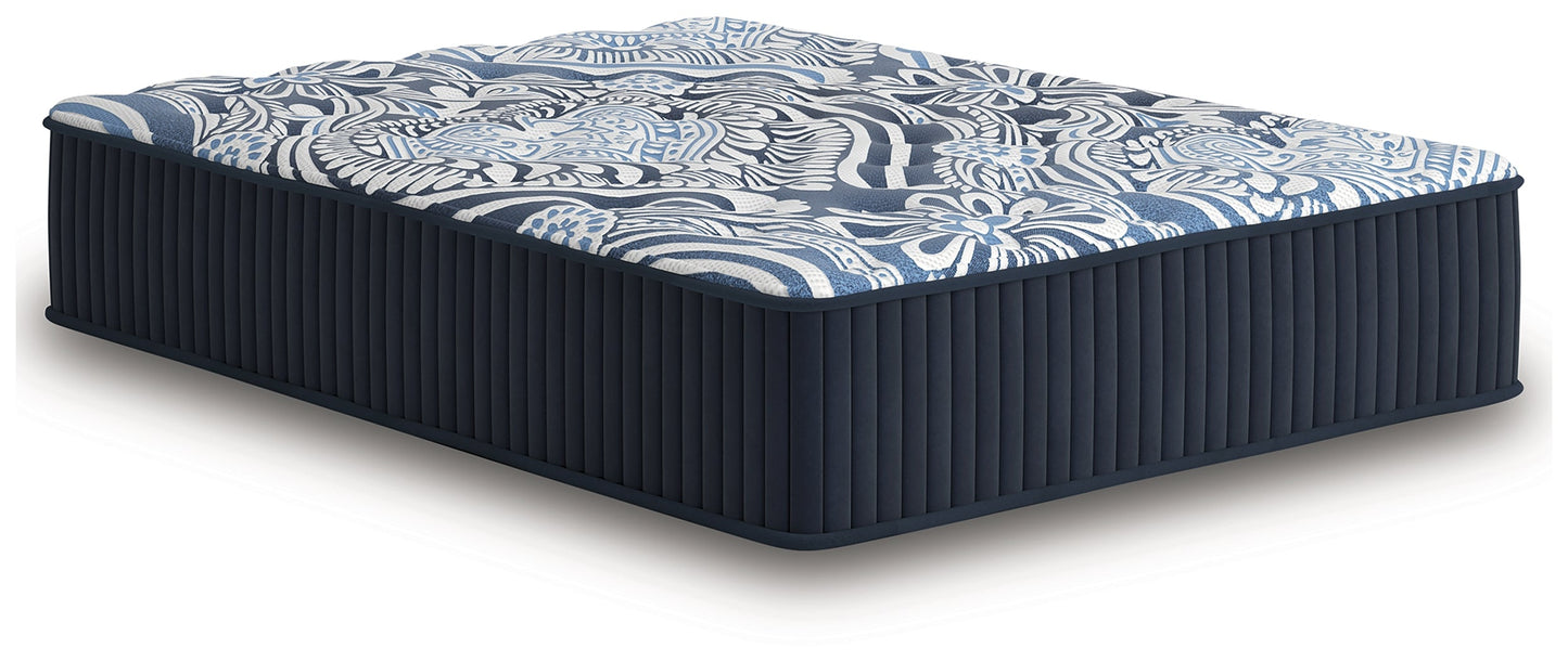 Firm Luxe 2.0 Blue Queen Mattress- Viva Furn