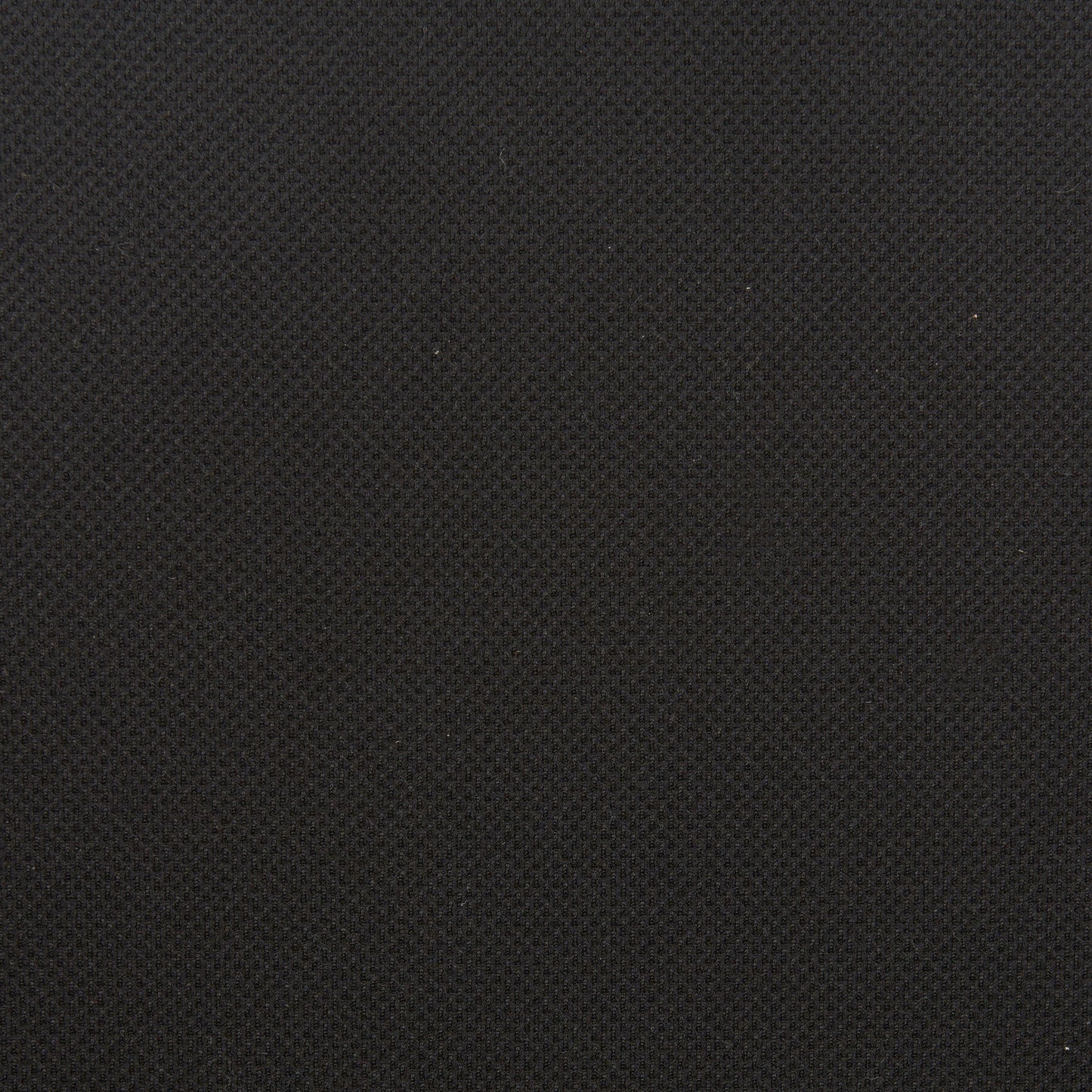 Hasso Black Office Chair - Ornate Home