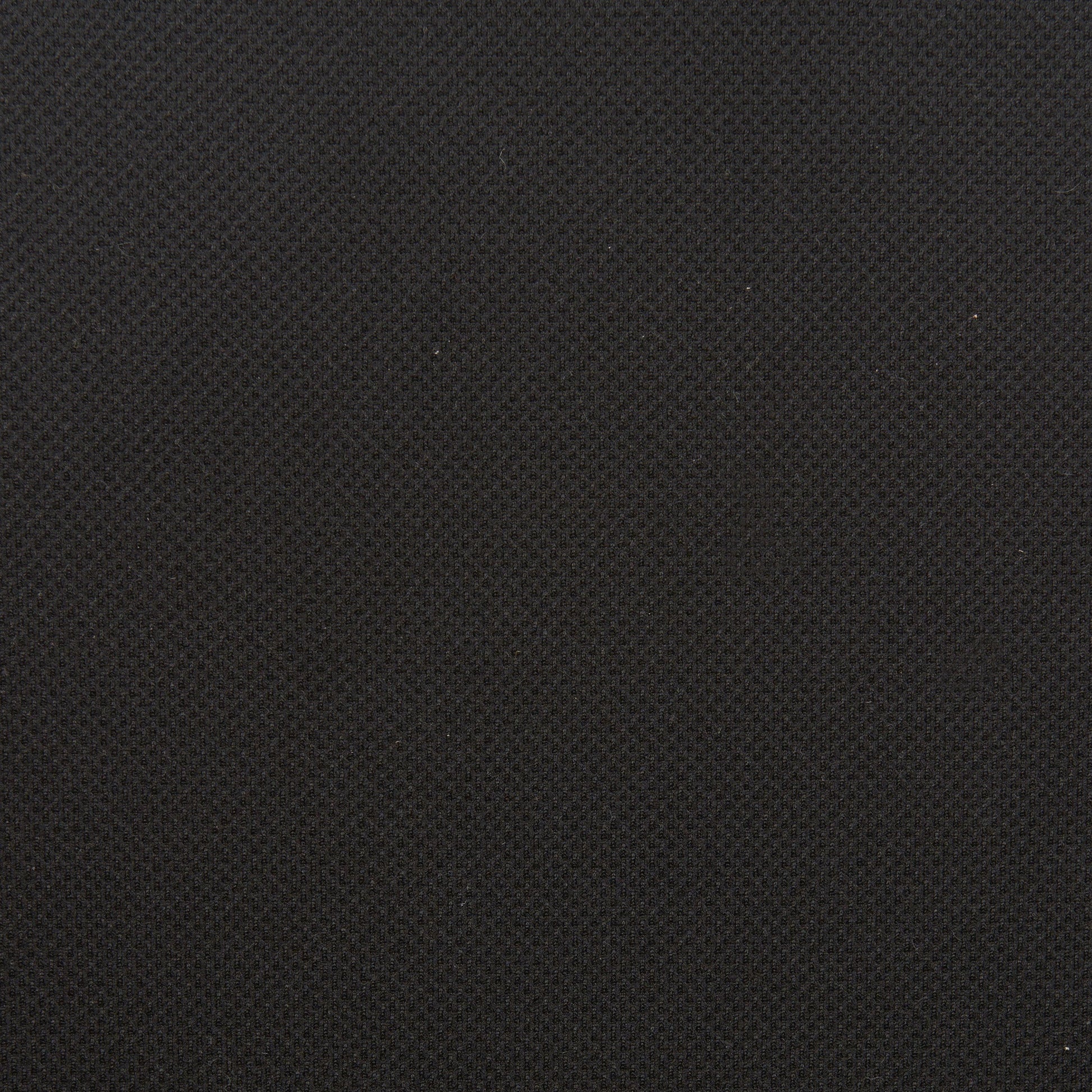 Hasso Black Office Chair - Ornate Home