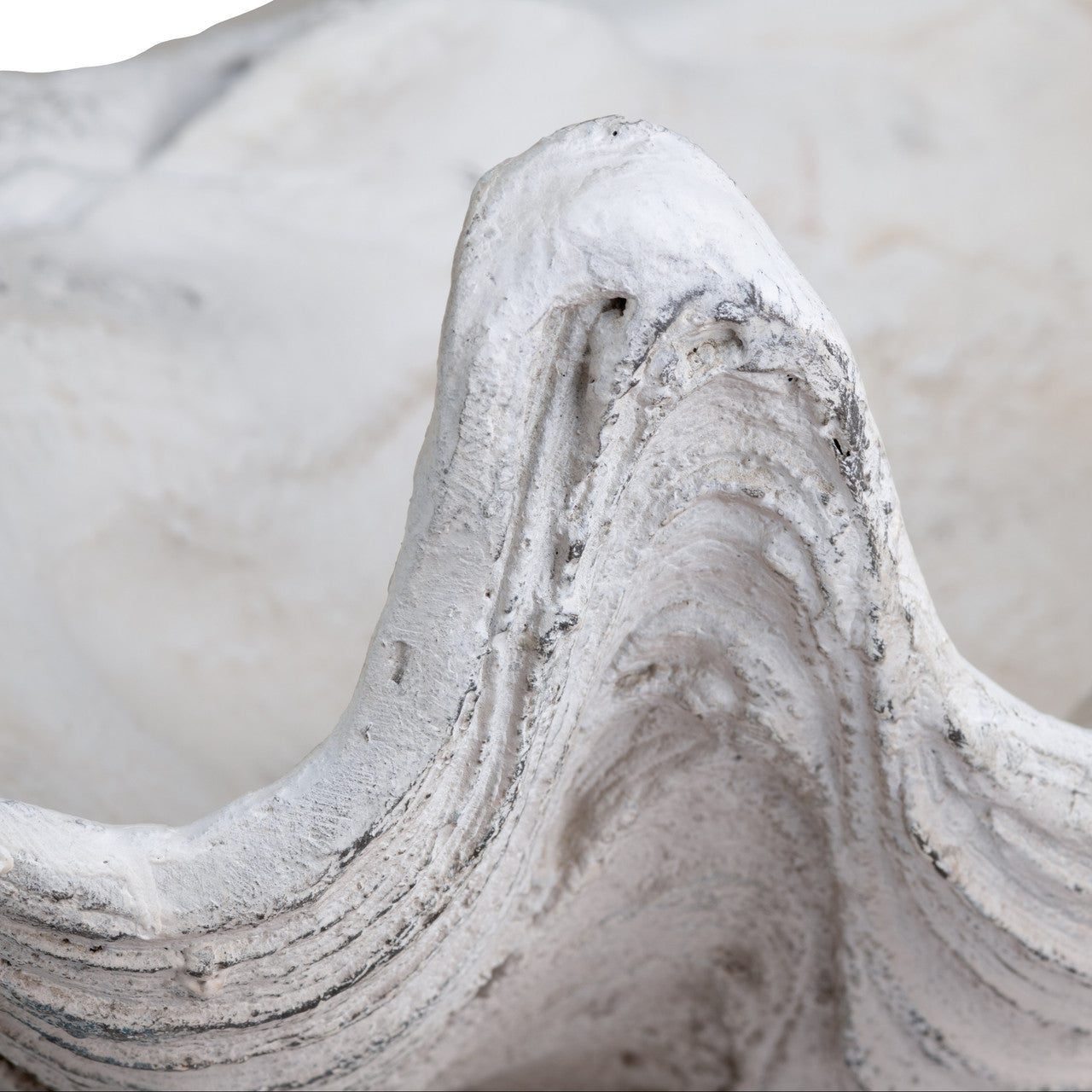Henley White Resin Shell Sculpture - Ornate Home