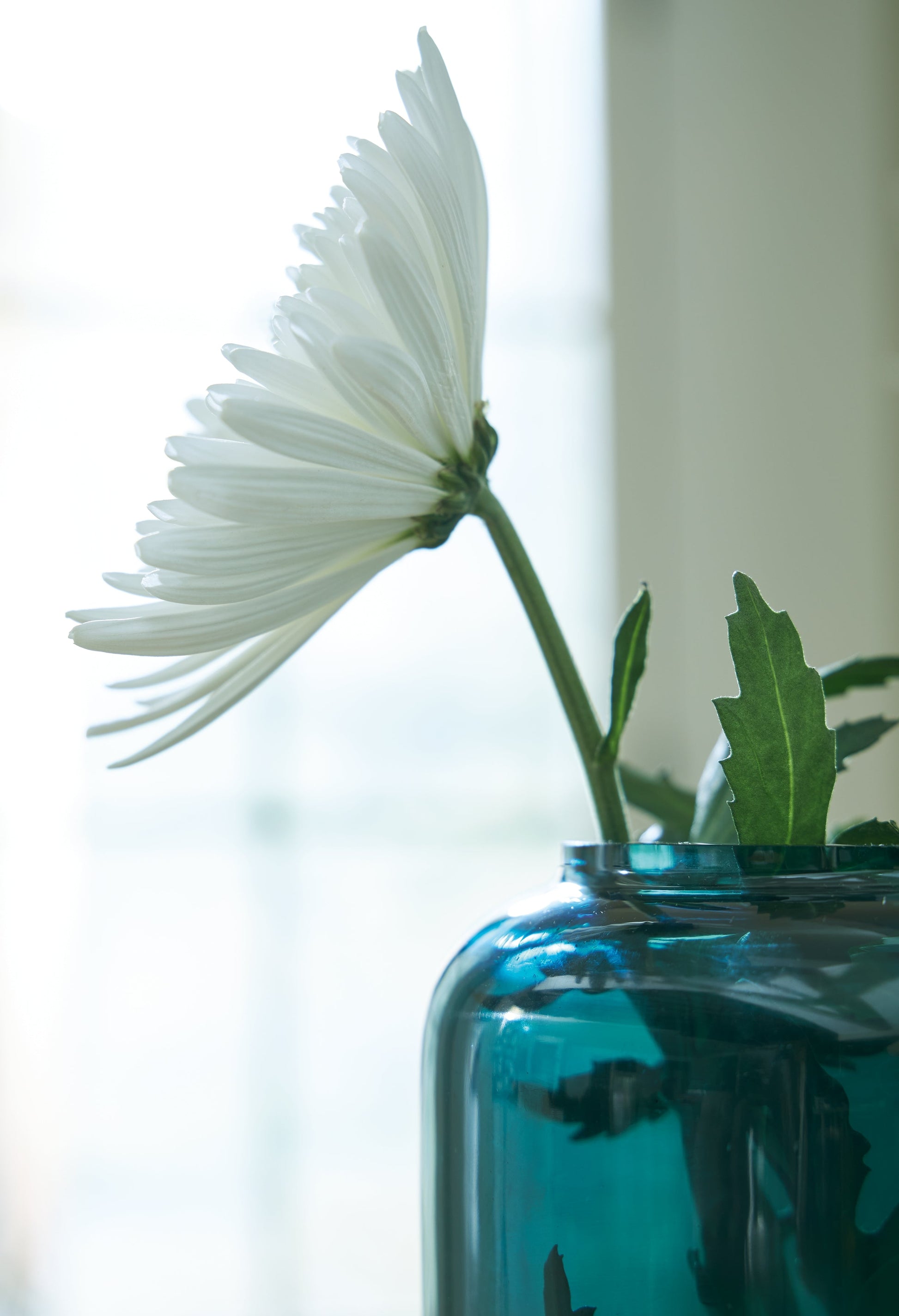 Inisland Teal Vase Set (Set of 2)- Viva Furn