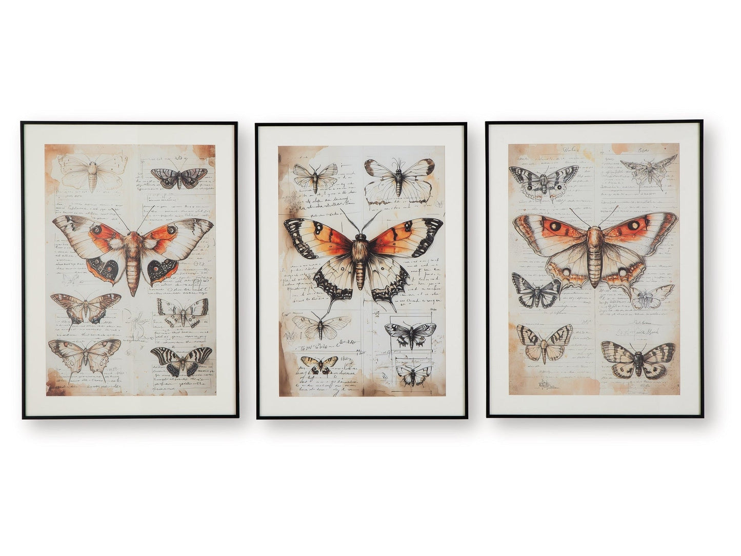 Jossletts Orange/Black/Ivory Wall Art Set (Set of 3)- Viva Furn