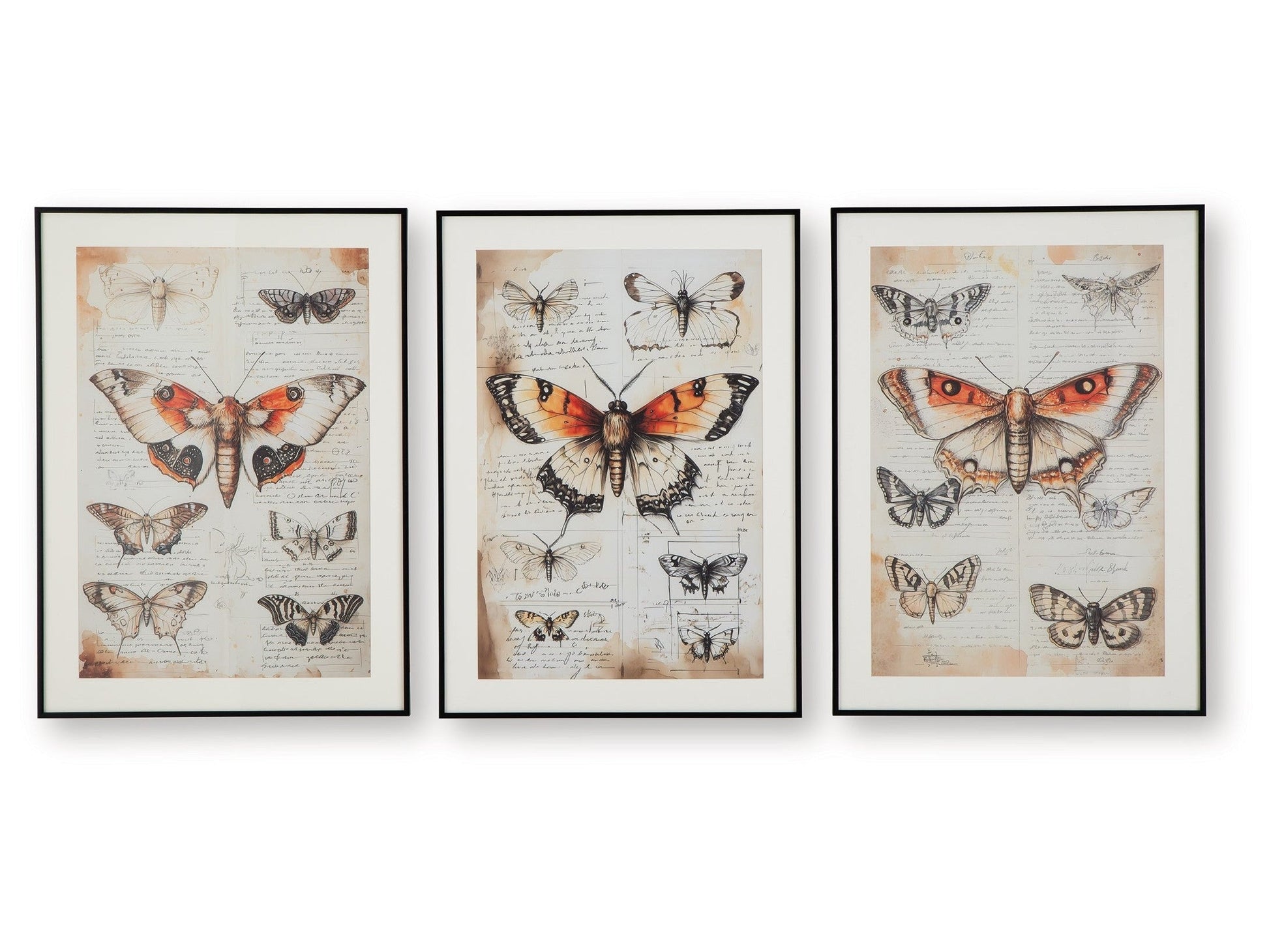 Jossletts Orange/Black/Ivory Wall Art Set (Set of 3)- Viva Furn