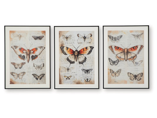 Jossletts Orange/Black/Ivory Wall Art Set (Set of 3)- Viva Furn