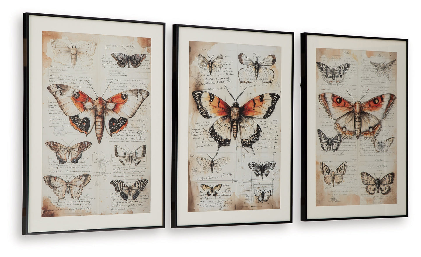 Jossletts Orange/Black/Ivory Wall Art Set (Set of 3)- Viva Furn