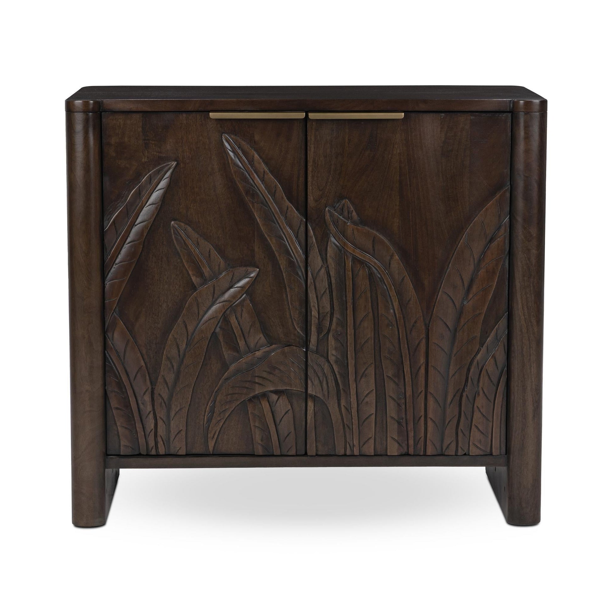 Ledro Dark Brown 2 Door Cabinet - Ornate Home