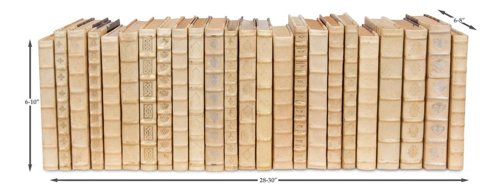 Library Luxe Ivory Leather & Paper Books (Set of 24) - Ornate Home