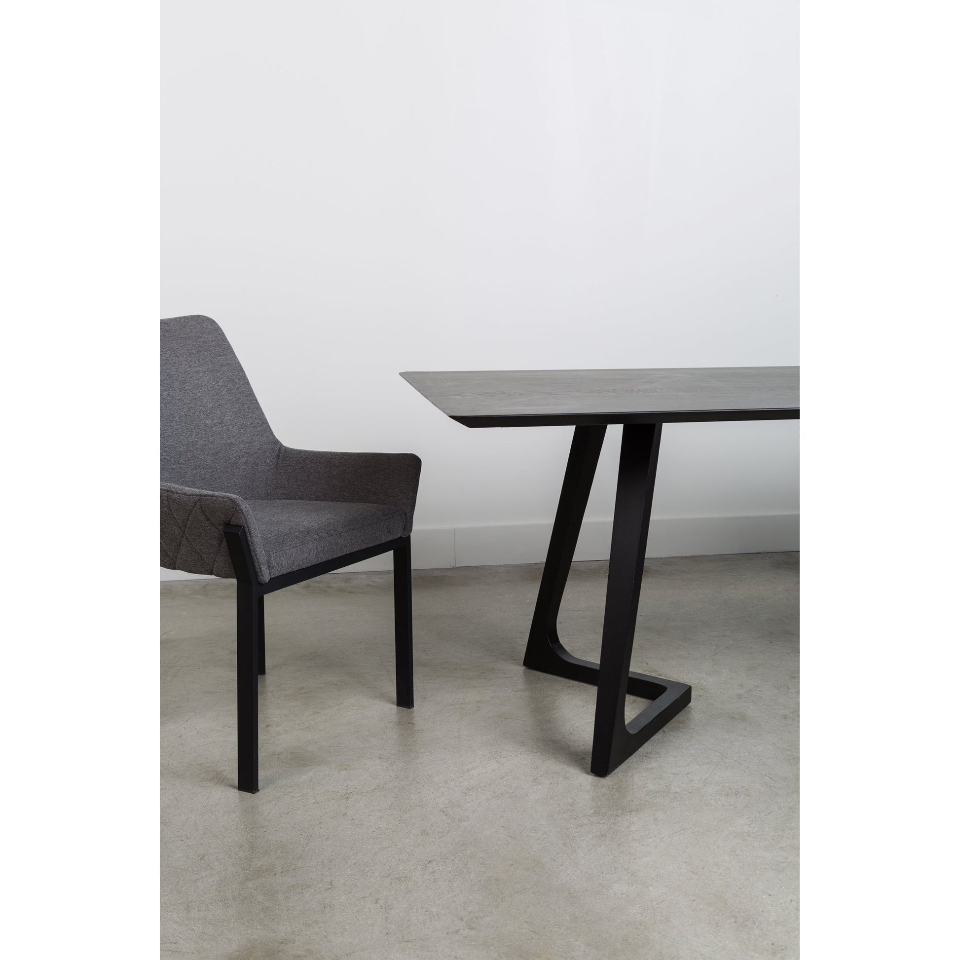 Lloyd Dark Grey Dining Chair (Set of 2) - Ornate Home