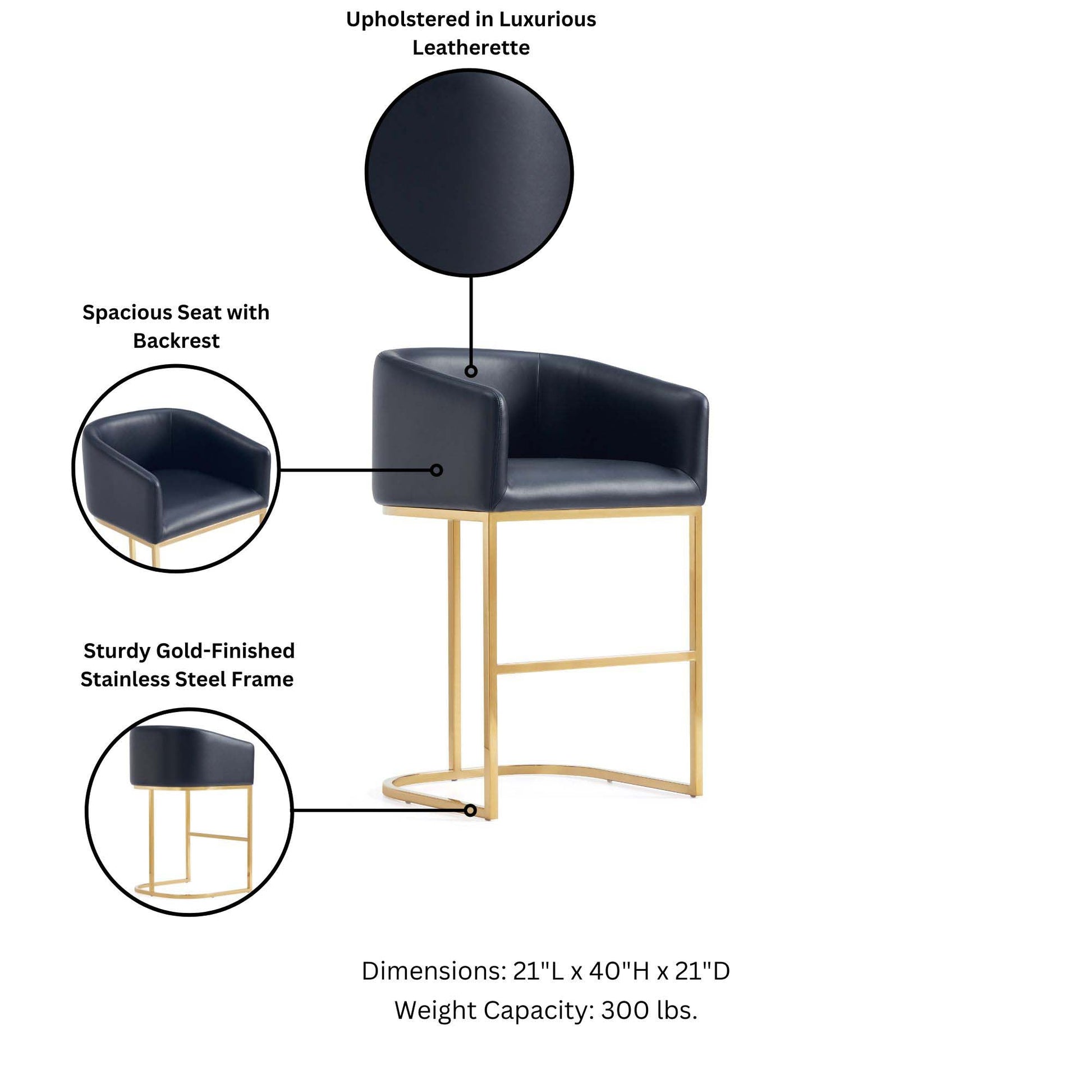 Louvre Barstool in Black (set of 2) - Ornate Home