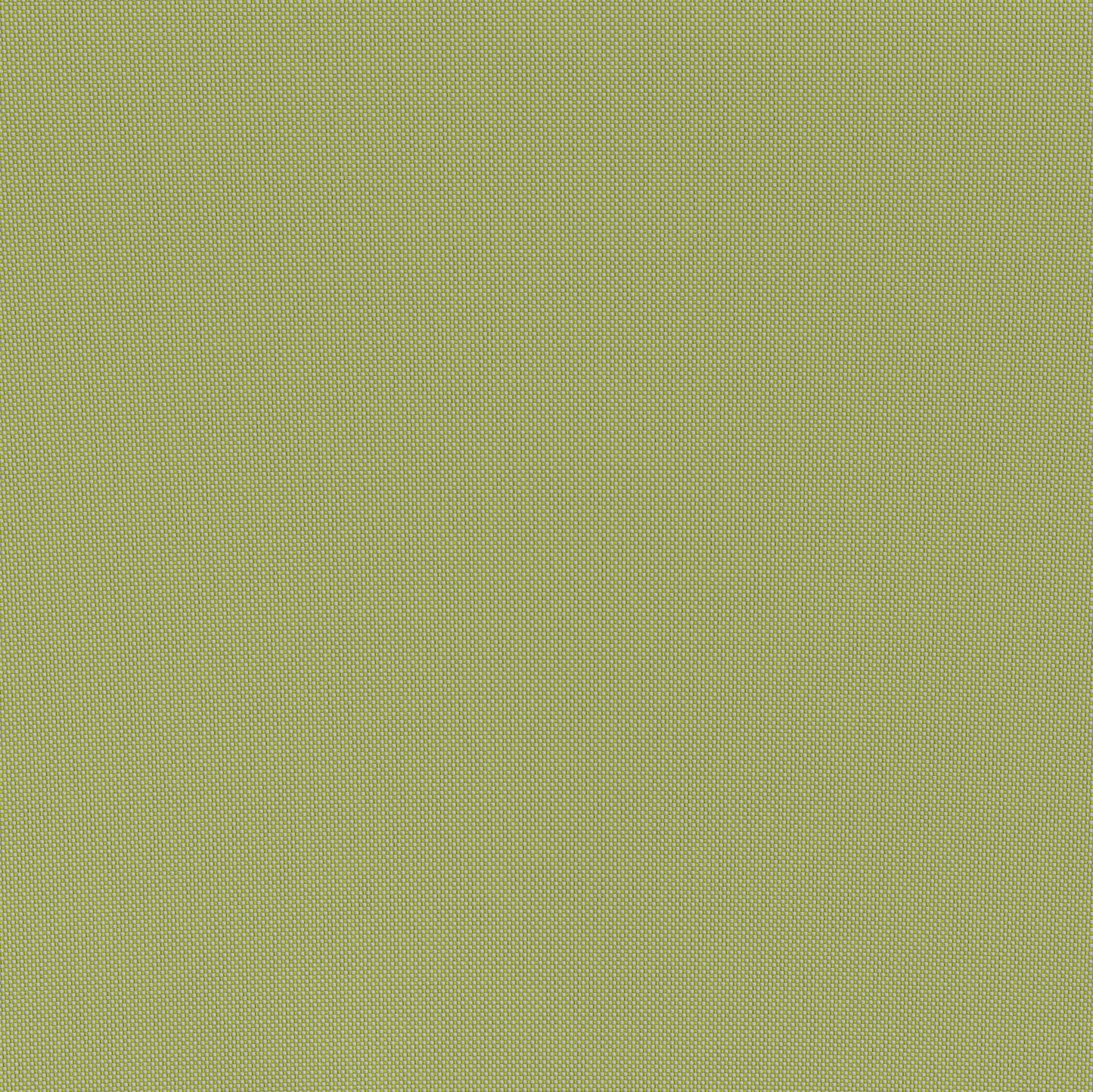 Lychee Green Outdoor Armchair - Ornate Home