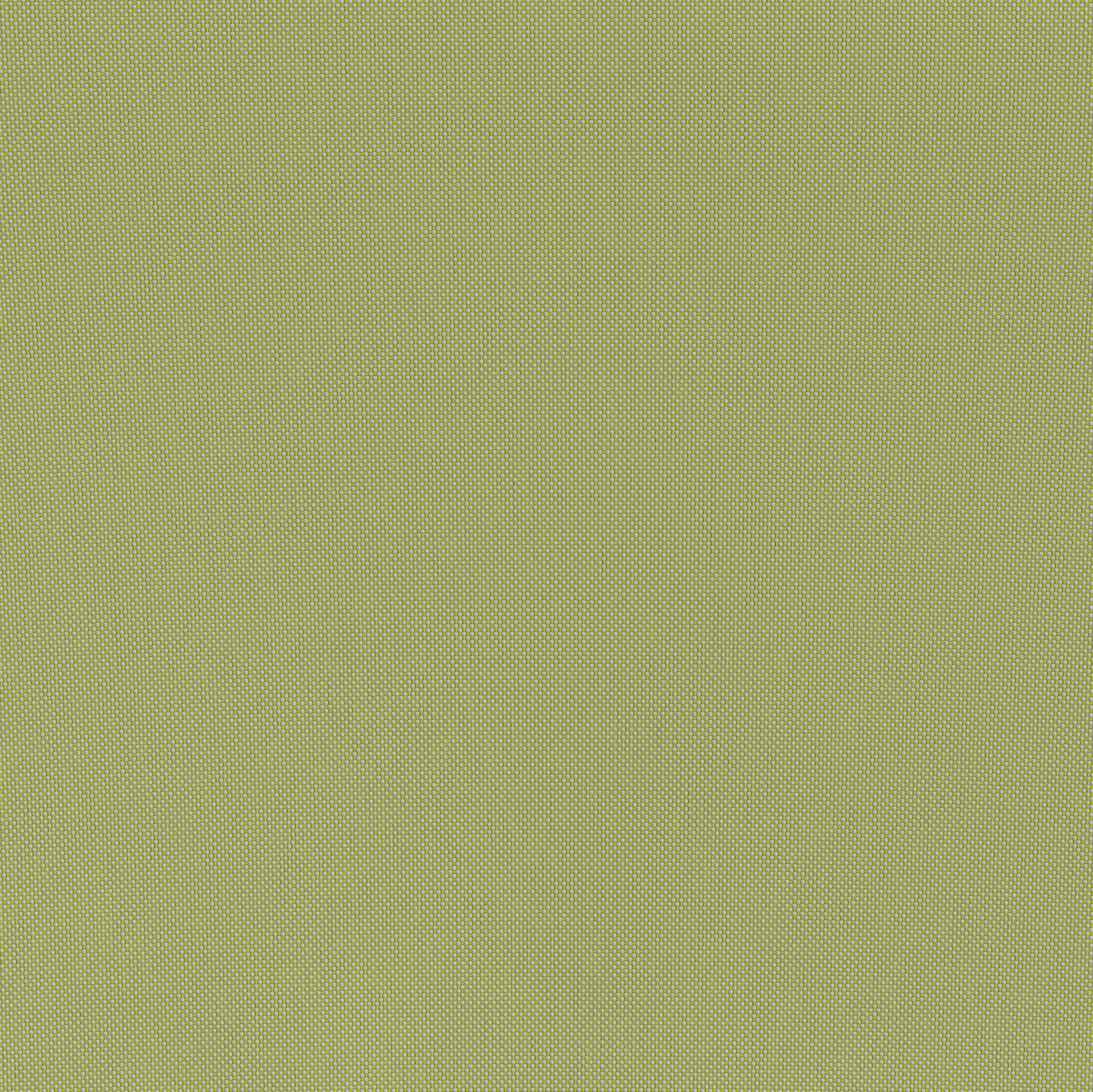 Lychee Green Outdoor Chaise Lounge - Ornate Home