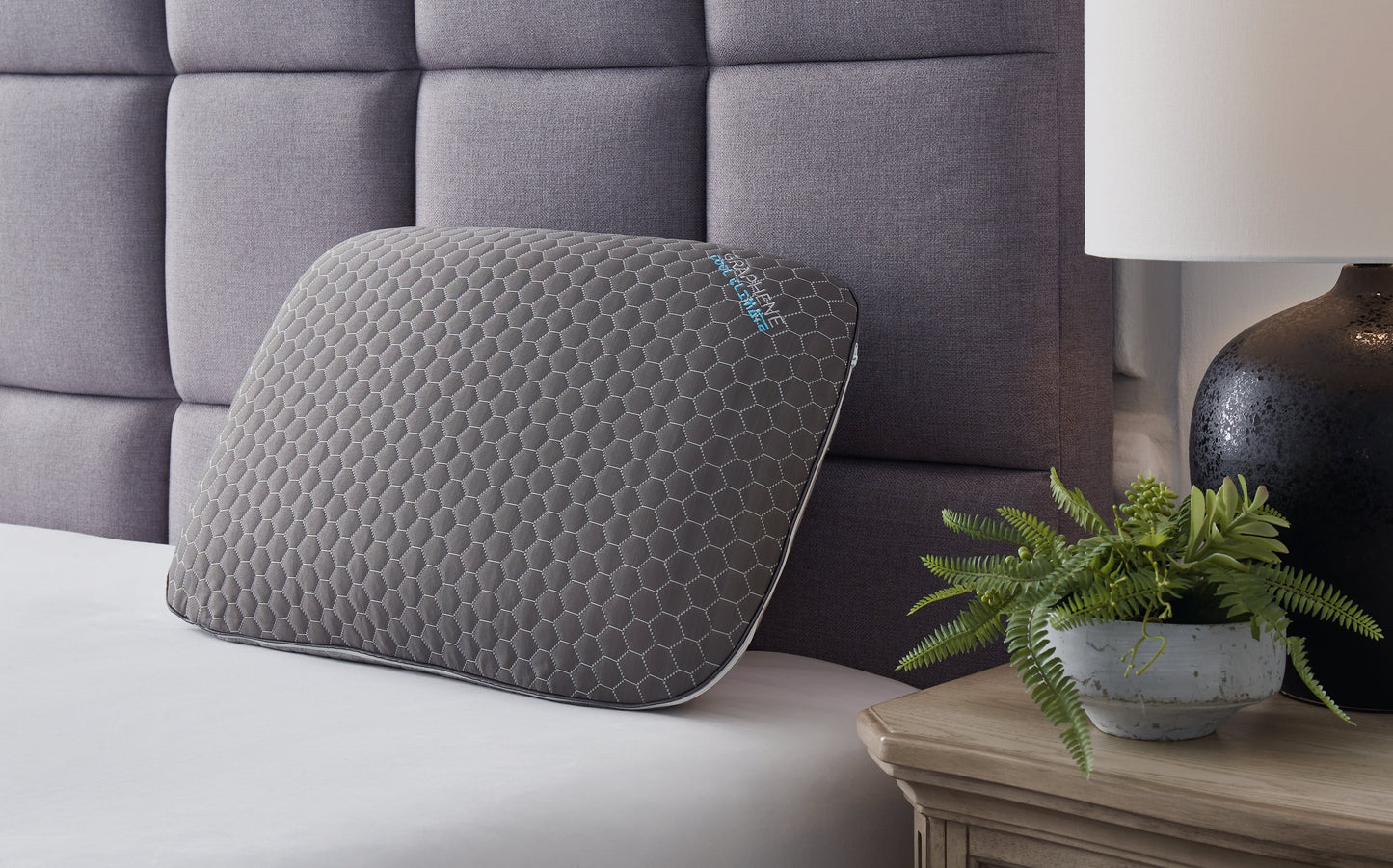 Zephyr 2.0 Dark Gray Graphene Contour Pillow (6/Case)