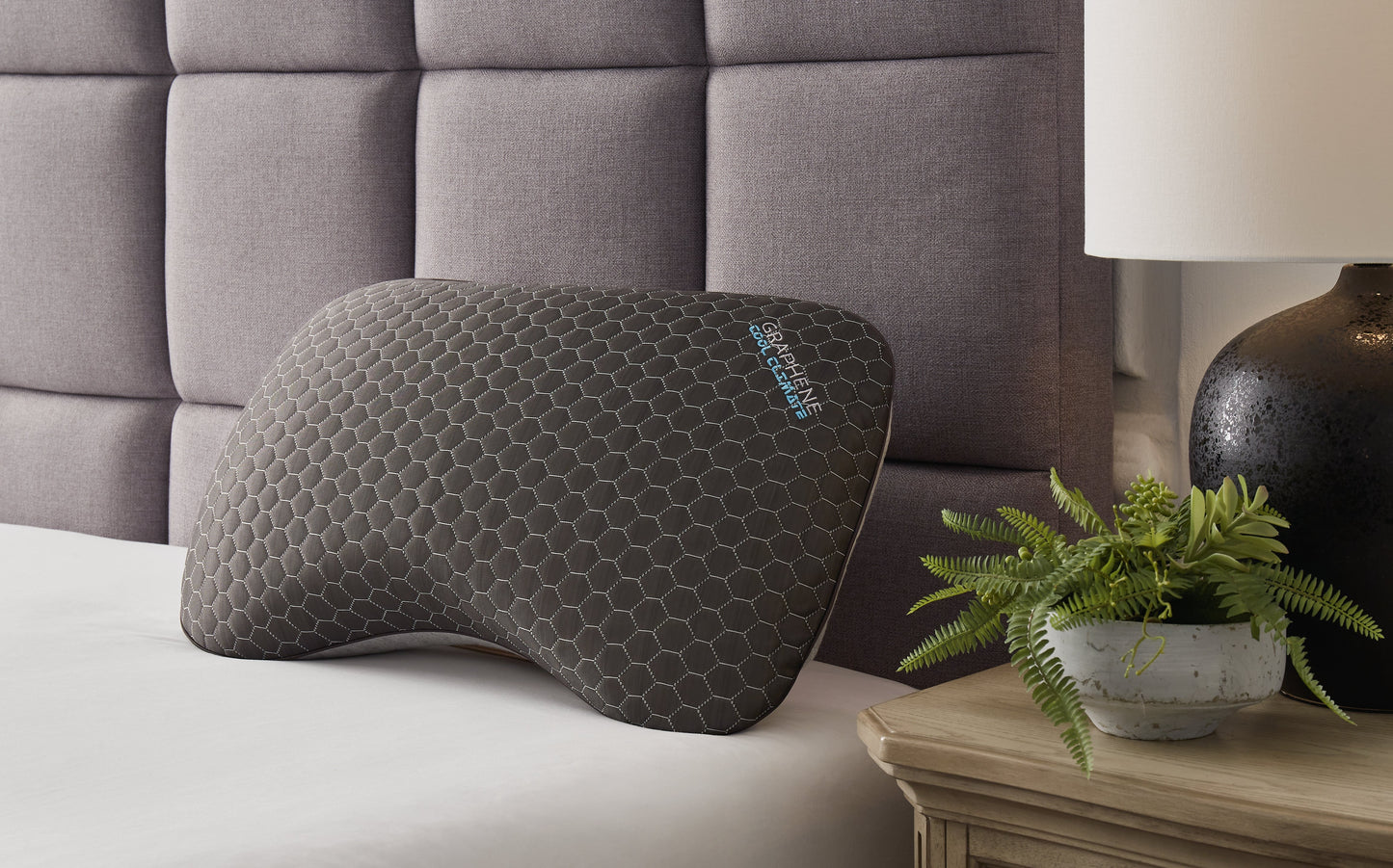 Zephyr 2.0 Dark Gray Graphene Curve Pillow (6/Case)