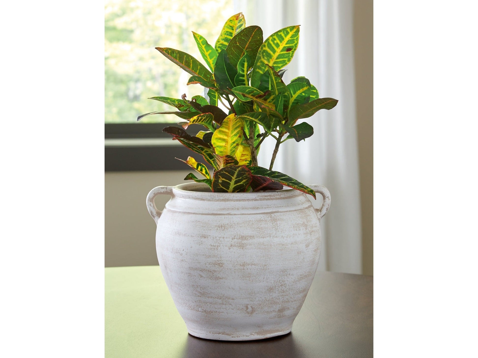 Meadie Distressed White Vase- Viva Furn
