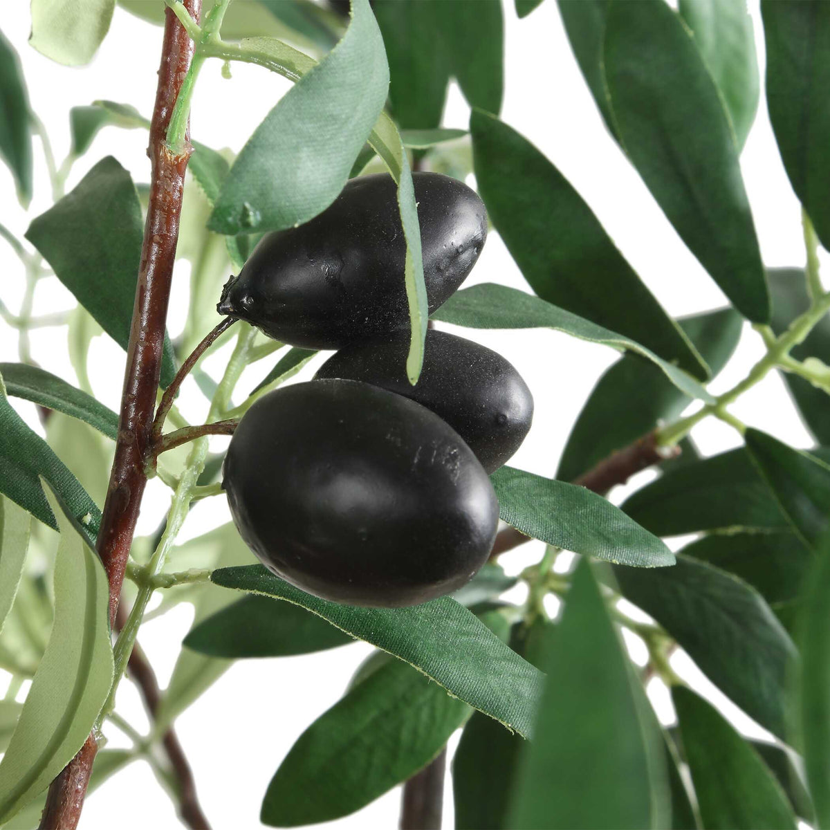 Olea Olive Potted Tree - Ornate Home