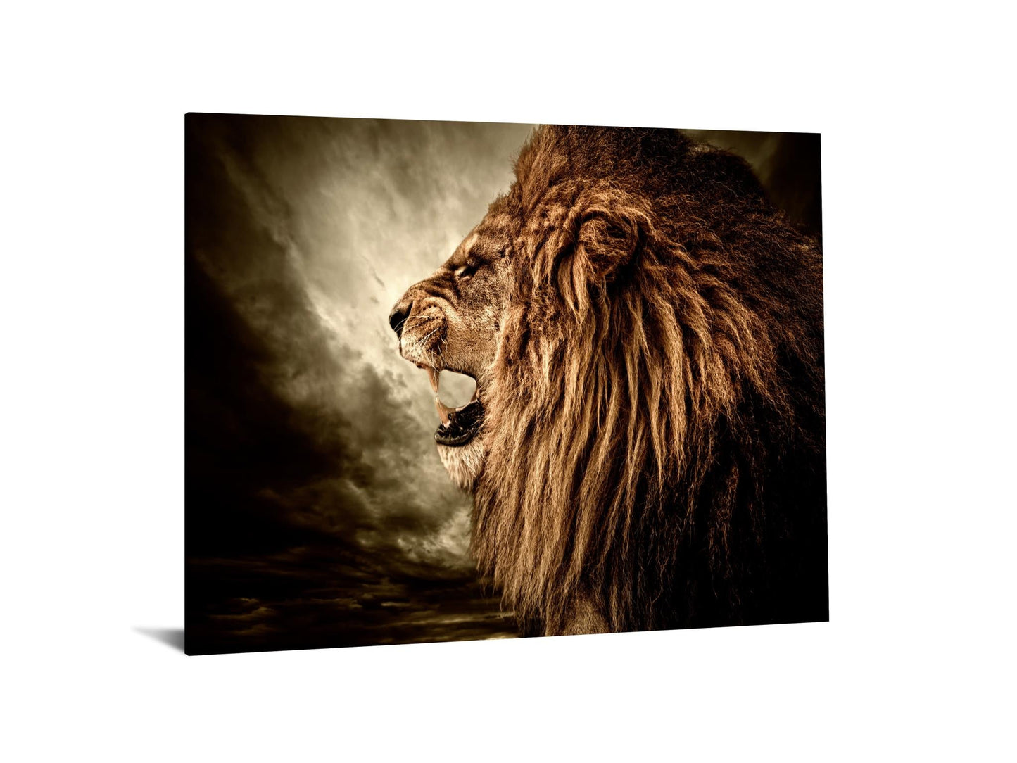 Roaring Tempered Glass w / Foil Wall Art