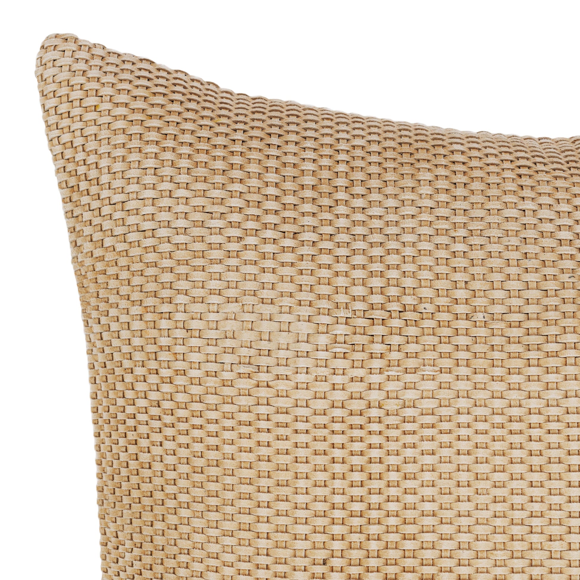 SLD Tan Bassinet 18x18 Throw Pillow (Set of 2) - Ornate Home