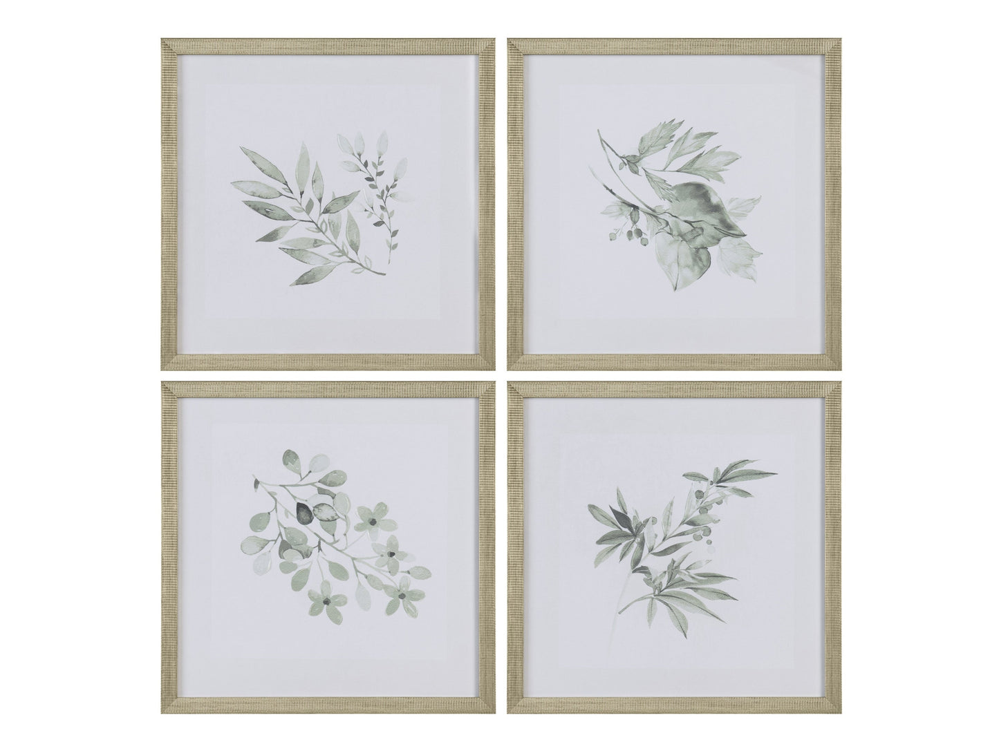 Sage Foliage Greem/White Print - Ornate Home