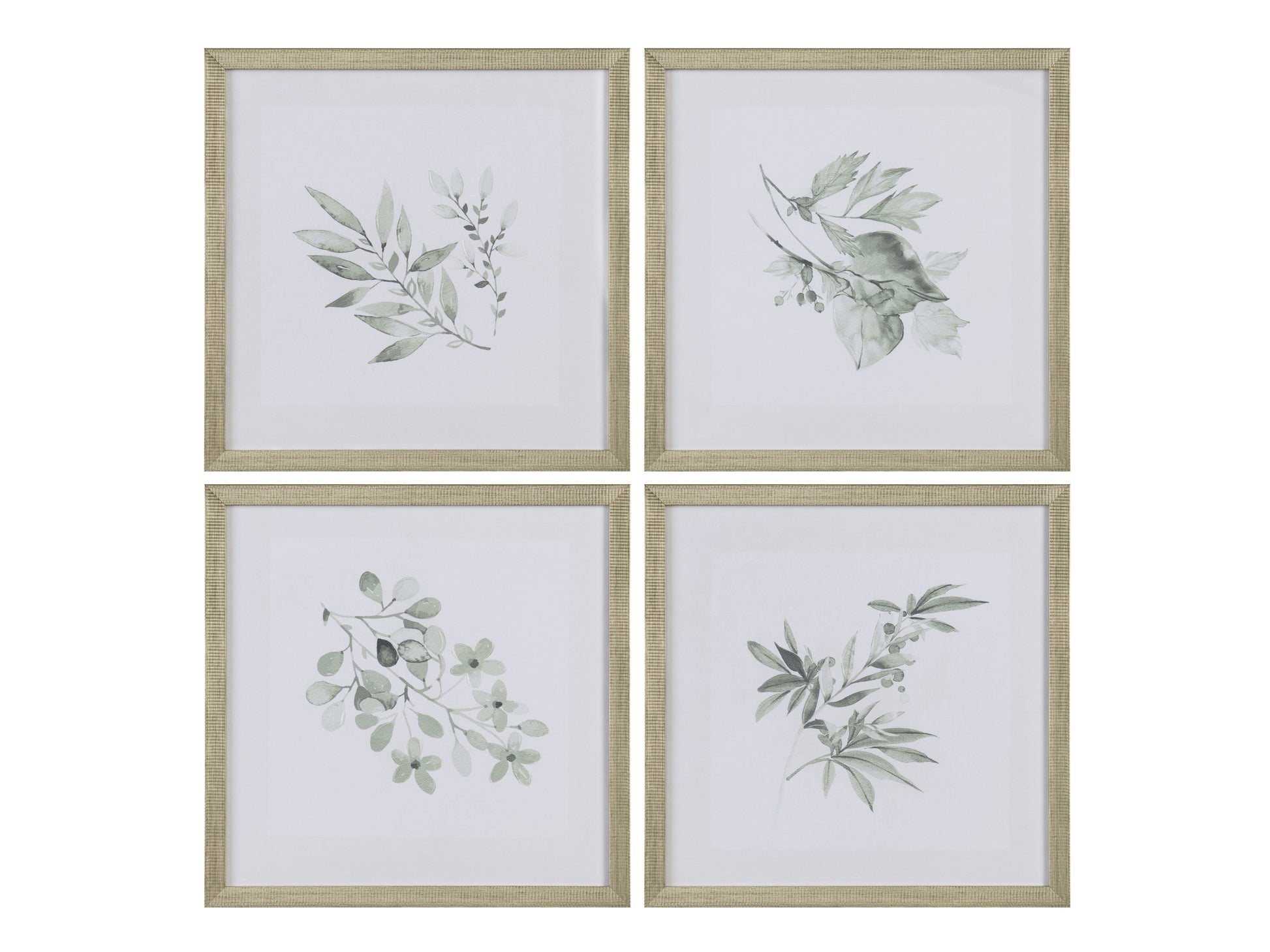 Sage Foliage Greem/White Print - Ornate Home