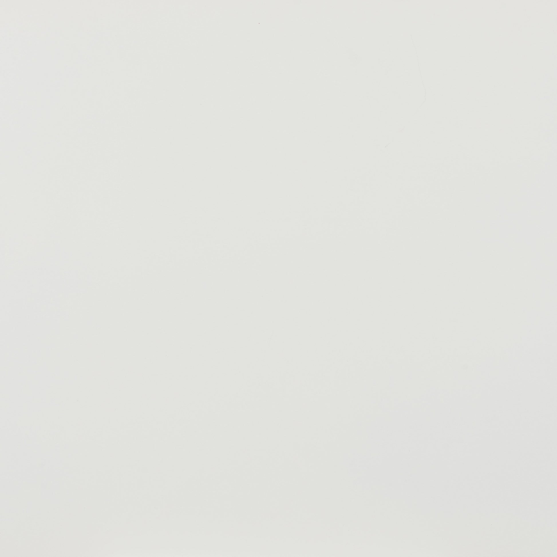 Shio White Outdoor Dining Chair - Ornate Home