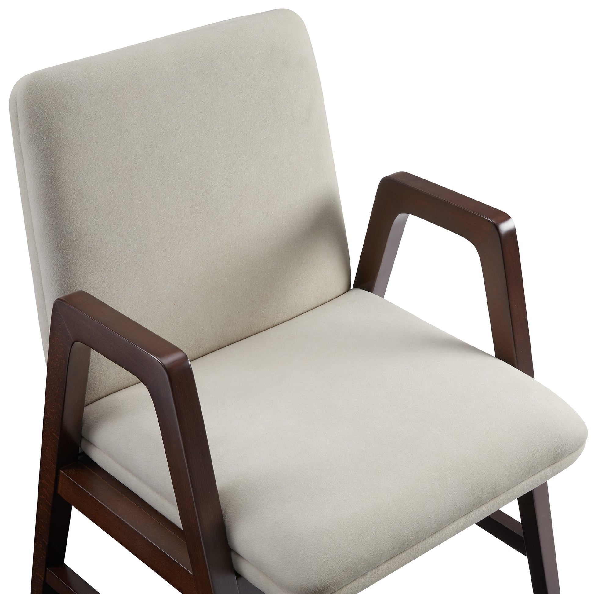 Stella Dining Armchair in Champagne (set of 4) - Ornate Home