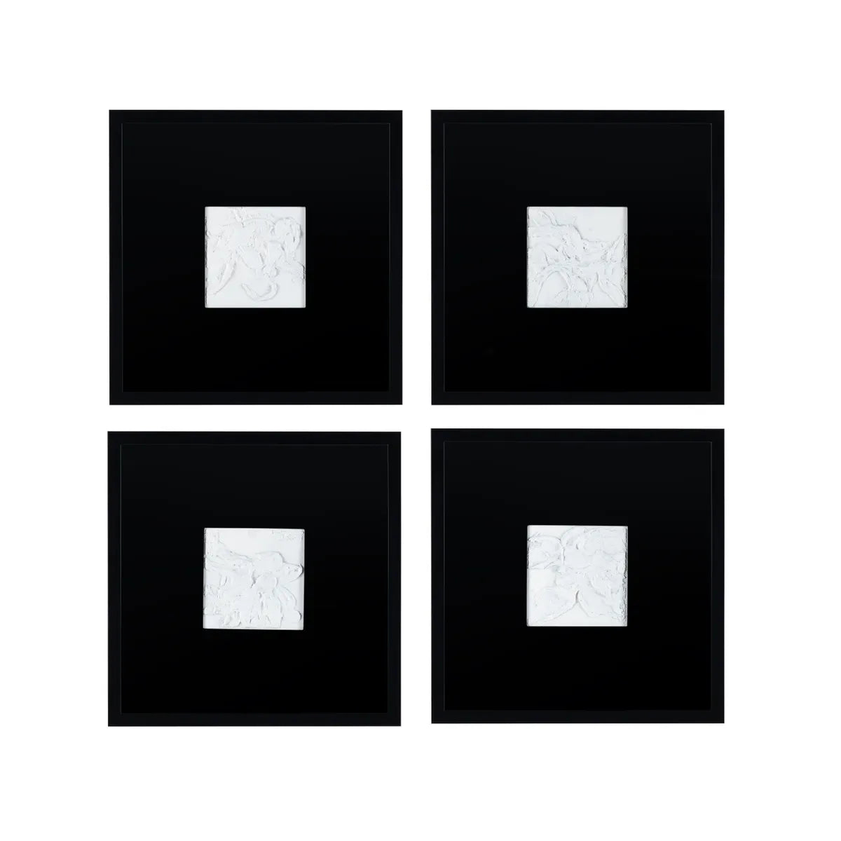 Study In Black And White Black/White Wall Art - Ornate Home