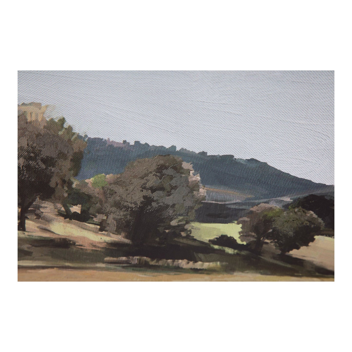 Vast Country Framed Painting - Ornate Home