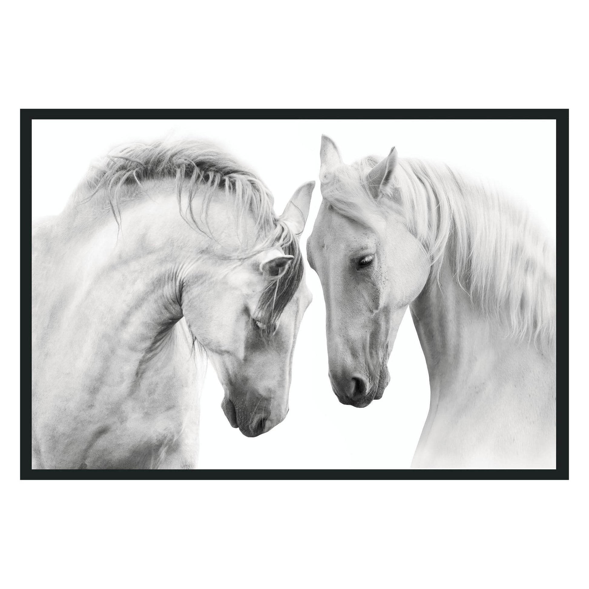 White Horses White Photography - Ornate Home