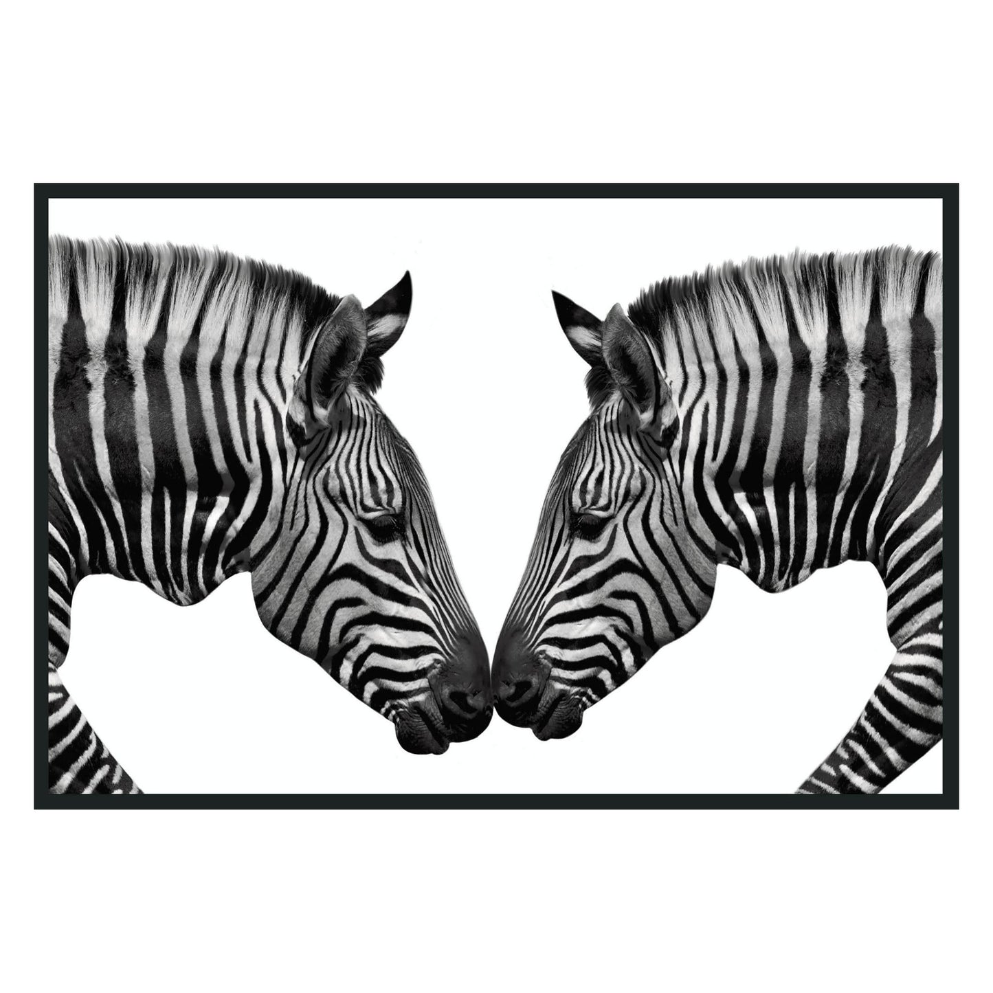 Zebras Black/White Photography 48x72 - Ornate Home