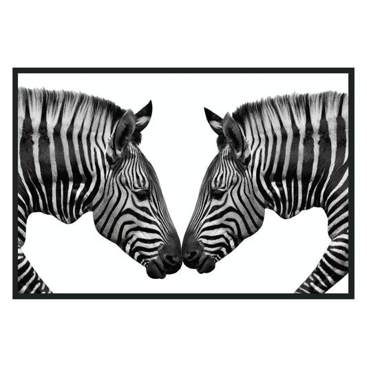Zebras Black/White Photography 48x72 - Ornate Home
