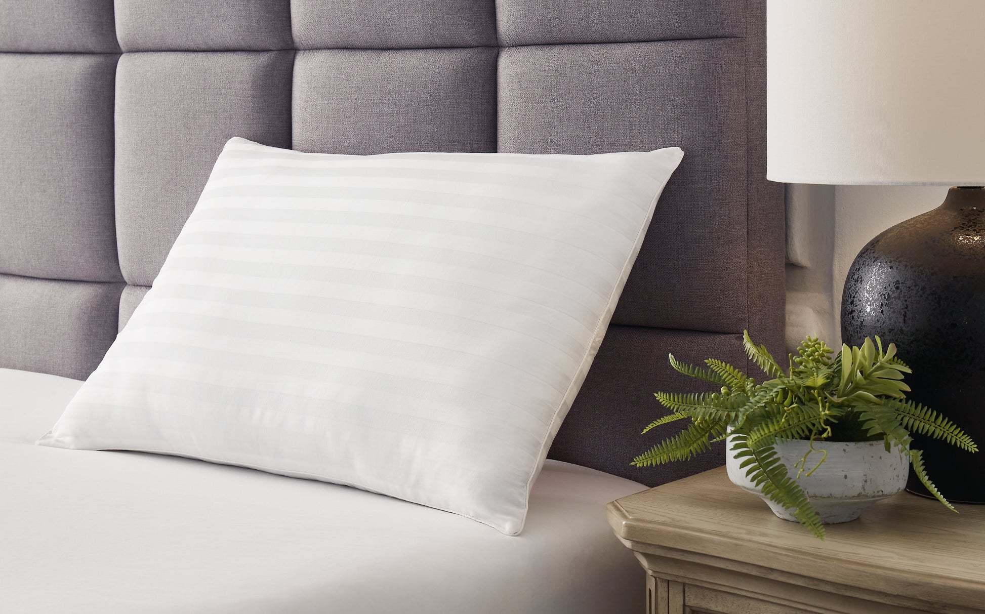 Zephyr 2.0 White Cotton Pillow (Set of 2)- Viva Furn
